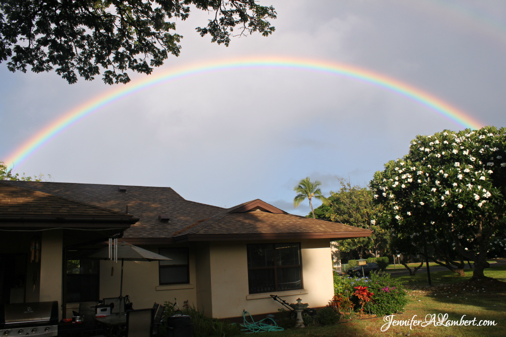 The Best and Worst of Hickam AFB